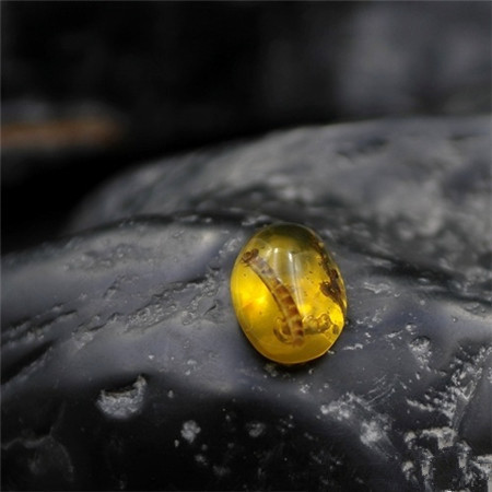 HP1604_a多米尼加稀有虫珀3000 附证Qd141102220_副本.jpg